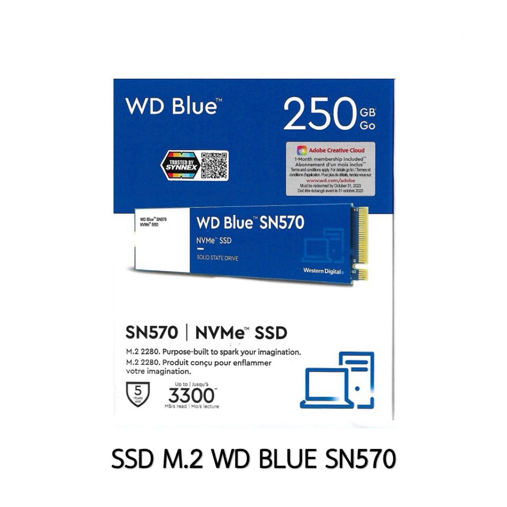 WD BLUE SN570 250GB Gen3 M.2 Nvme ประกัน synnex มือสอง