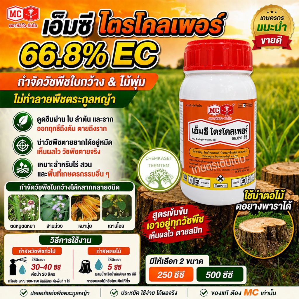 เอ็มซี ไตรโคลเพอร์ 66.8%EC  กำจัดวัชพืชหญ้าใบกว้าง เถาเลื้อย ตดหมูตดหมา กำจัดตอไม้ ต้นไม้ ต้นยาง