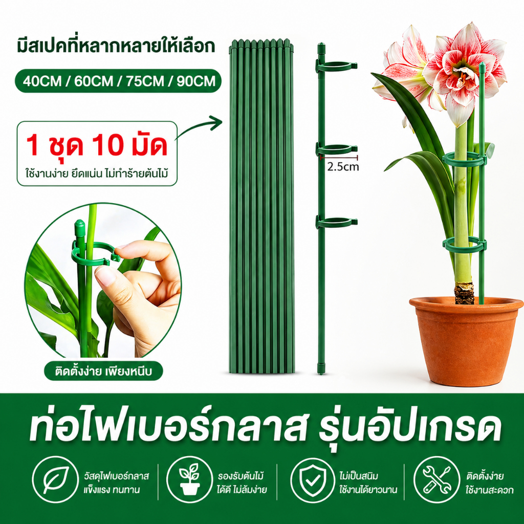 1 มัด 10 ชิ้น โครงค้ำต้นไม้กันล้ม สำหรับมะเขือเทศ/พริก พร้อมคลิปยึดไม้เลื้อย สูง 45/60/75/90 ซม.