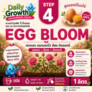 Daily Growth : เติมอาหารให้ต้นไม้ ได้ทุกวัน Every Day Nutrition ( Plant food)