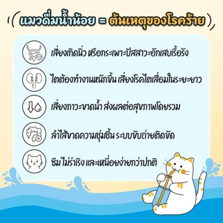 Petcho น้ำดื่มสำหรับแมว กลิ่นแซลมอนรมควัน กระตุ้นการดื่มน้ำ ลดความเสี่ยงนิ่ว สะอาดปลอดภัย ผลิตในไทย