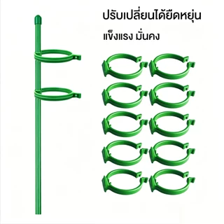 【COD】ไม้ค้ำต้นไม้ รูปพืช ตัวยึด / ตัวยึด ป้องกันการนอนหลับ ฟาเลนอปซี ดอกไม้ รองรับ / ตัวยึด ก้านเดี่ยว สําหรับในร่ม สวน