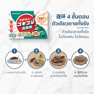 【ถูกที่สุด】💀MDB ล่อแมลงสาบ 💀ได้ผล100% กำจัดแมลงสาบอย่างถาวร ที่ดักแมลงสาบ กับดักแมลงสาบ ยาฆ่าแมลงสาบ 1คืนฆ่าตายหมด