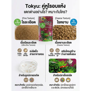 Tokyu ไรแดงอบแห้ง (ละเอียด/หยาบ) อาหารพรีเมียมเร่งโต ปลาบอลลูน ปลากัด ปลาสวยงามทุกชนิด (60g)