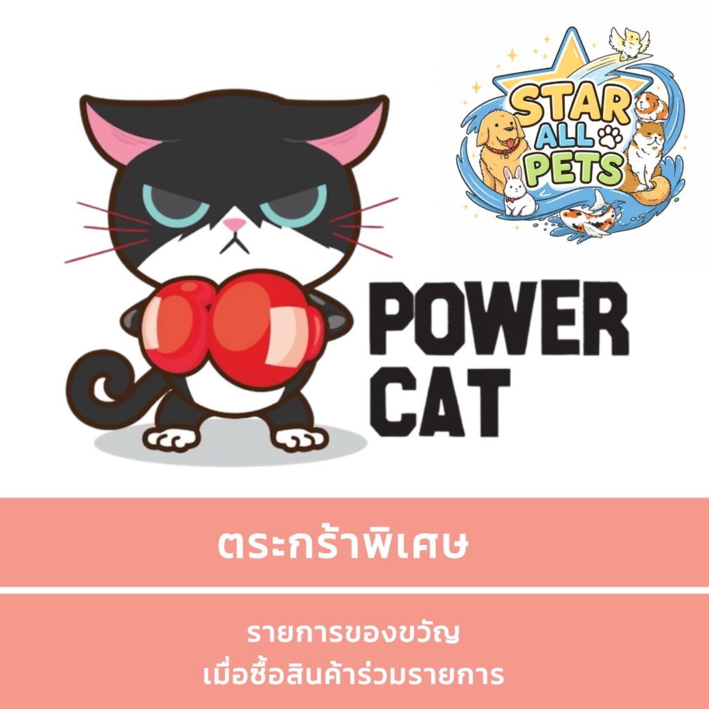 ของขวัญจากแบรนด์ power cat