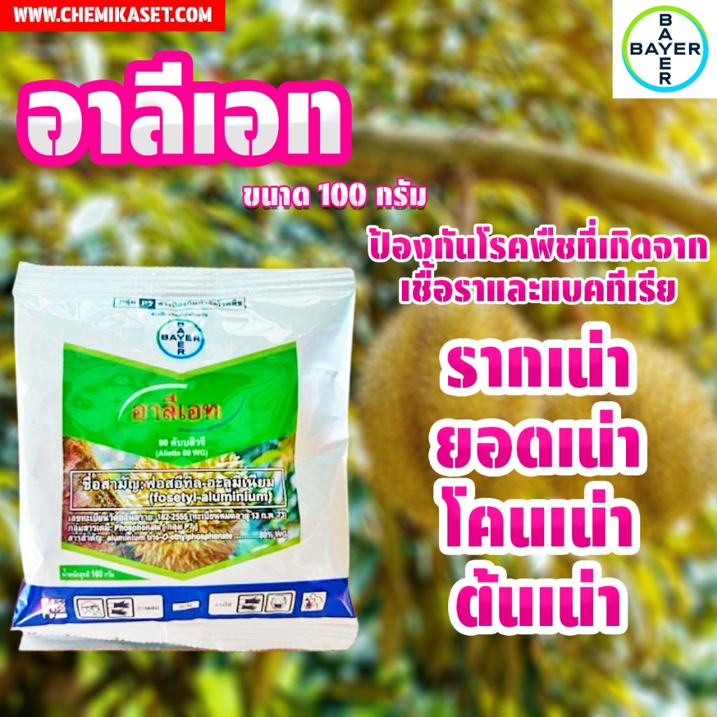 อาลีเอท 80 ดับบลิวจี ป้องกัน กำจัดเชื้อรา รากเน่า โคนเน่า ไฟท็อปเทอรา ขนาด 100 กรัม **ปลอดภัยต่อสิ่งแวดล้อม**