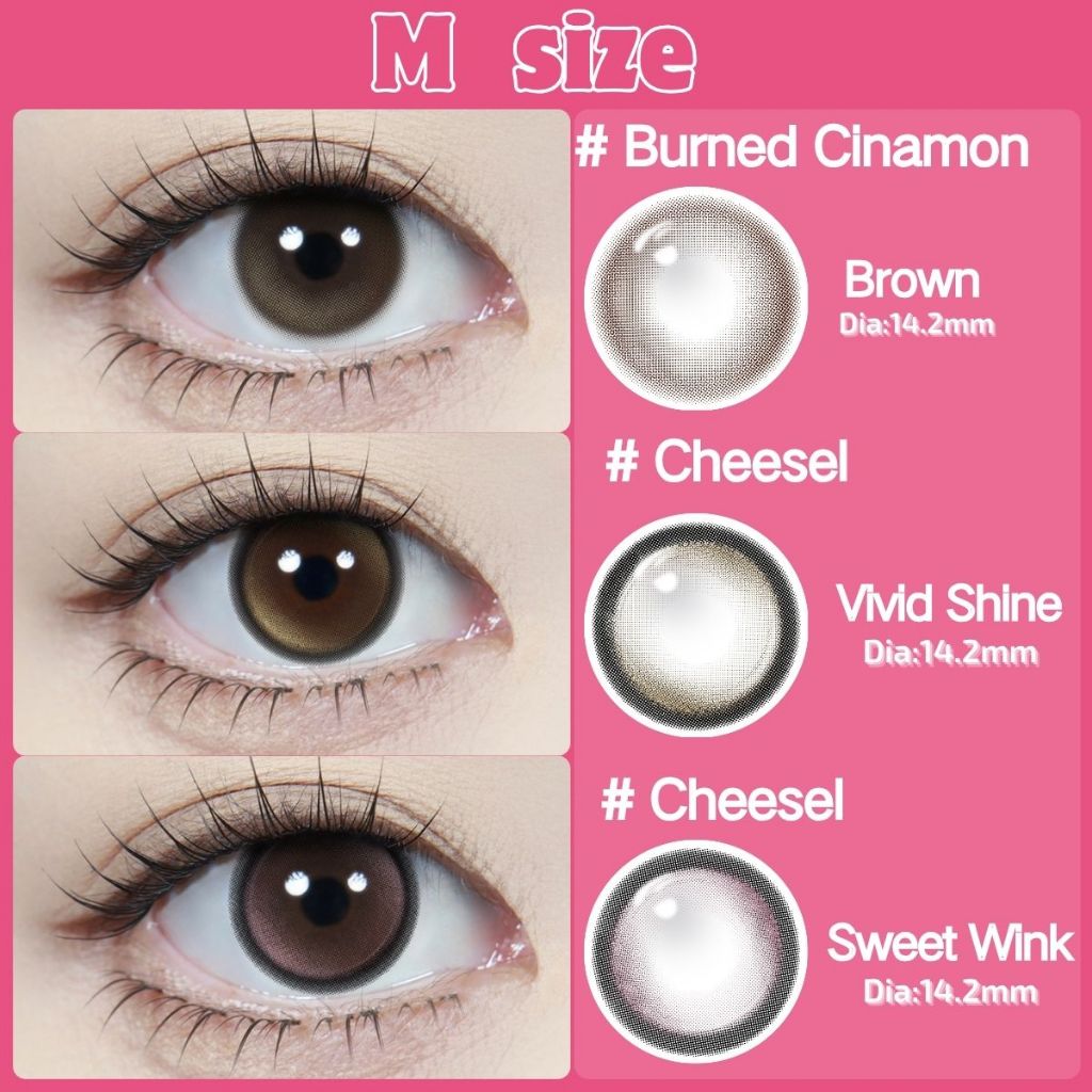 【FDA】𝐅𝐑𝐄𝐒𝐇𝐋𝐀𝐃𝐘 คอนแทคเลนส์ คอนแทคเลนส์สีน้ำตาลคอนแทคเลนส์สีดำ 14.2~14.5mm M-Lsize