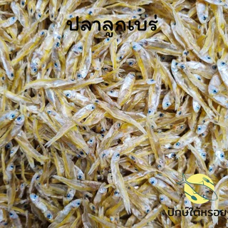 ปลาลูกเบร่ 150 กรัม ปลาตัวเล็ก สดใหม่ ตัวใหญ่ สวยๆ จากปากประพัทลุง
