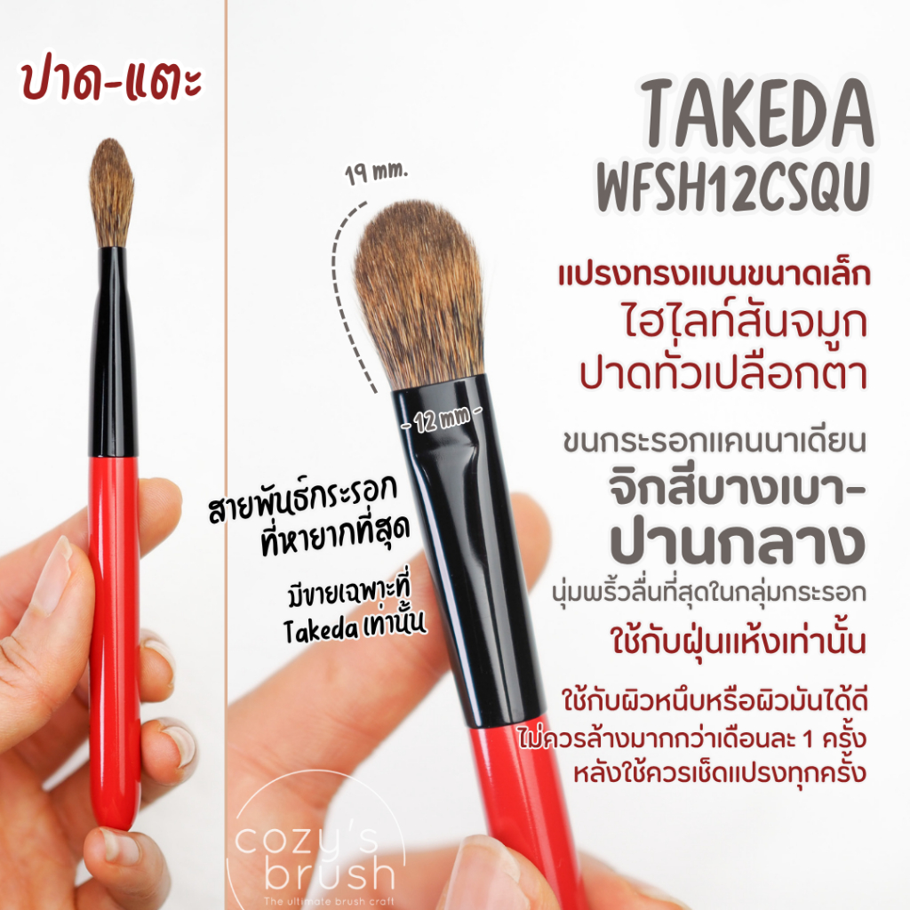[Canadian Sq.] TAKEDA - WFSH12CSQU Eye Shadow Brush [Large]