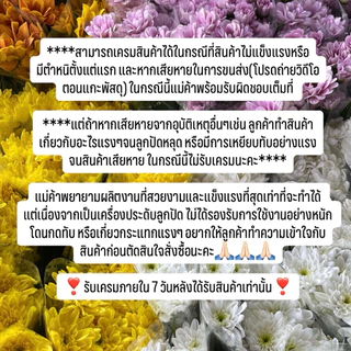 ที่รัดเข็มขัดลวดดัด รุ่น Baby Bloom 🌸✨