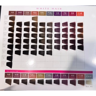 ไม่แถมไฮโดรเยน Shiseido Primience 80 g ครีมเปลี่ยนสีผม