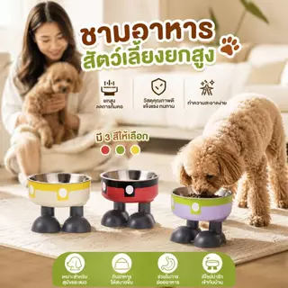 Boqi Factory ชามอาหารสัตว์เลี้ยง ชามอาหารแมว ทรงยกสูง น่ารักมินิมอล 2ชั้นถอดได้ CW382