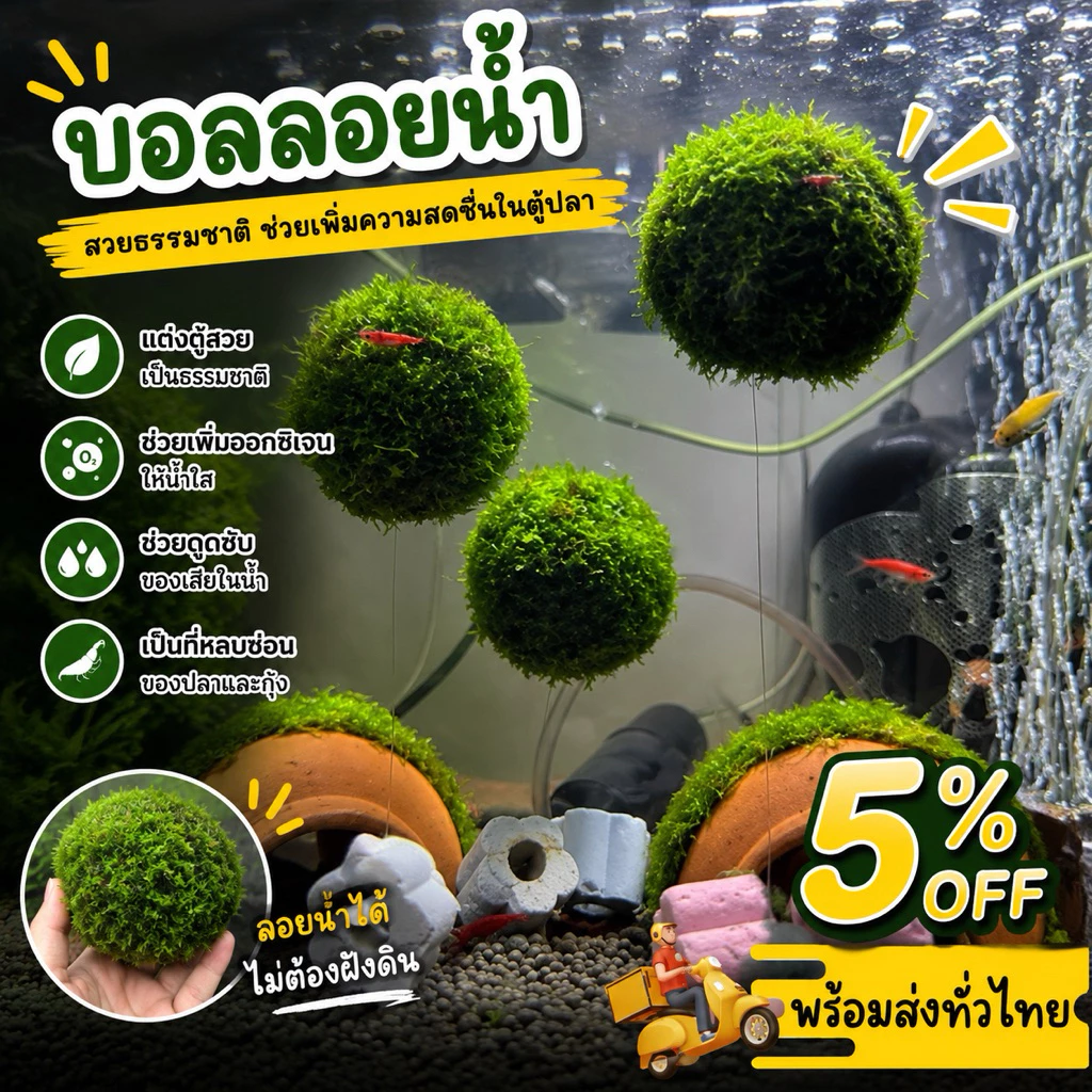 บอลลอยน้ำ (🪼) แต่งตู้ปา