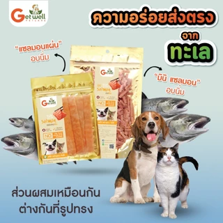 Get Well แซลมอนแผ่น อบนิ่ม ไม่ปรุงรส ขนมสำหรับสุนัขแพ้ไก่ แพ้กลูเตน ขนมแมว ขนมสุนัข ขนมหมา
