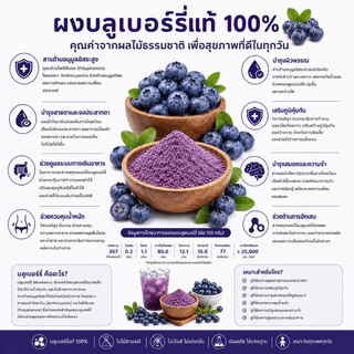 ผงบลูเบอรี่แท้ 100% (Blueberry Powder) 🍇 ขนาด 100กรัม / ซอง