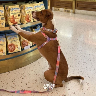 VELKYBARK [พร้อมส่ง] iCANDOR 🇰🇷 No-Pull Harness สายรัดอกสัตว์เลี้ยง สายรัดตัวสุนัข เสื้อรัดอก Dog harness