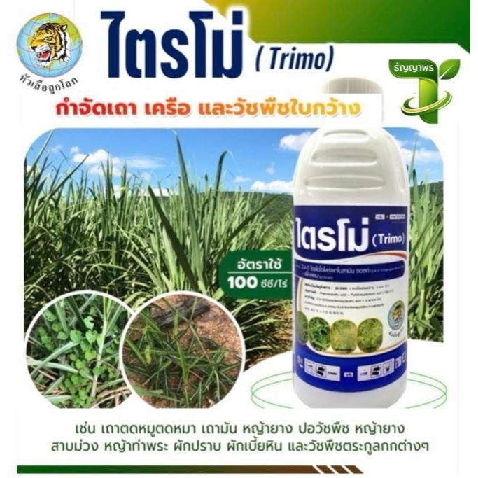 ไตรโม่ (2-4 ดี ไตรไอโซโพรพาโนลามีน45.2% + พิโคลแรม11.6%) 1L สารกำจัดวัชพืชใบกว้าง ผักปอด กก แห้วหมู