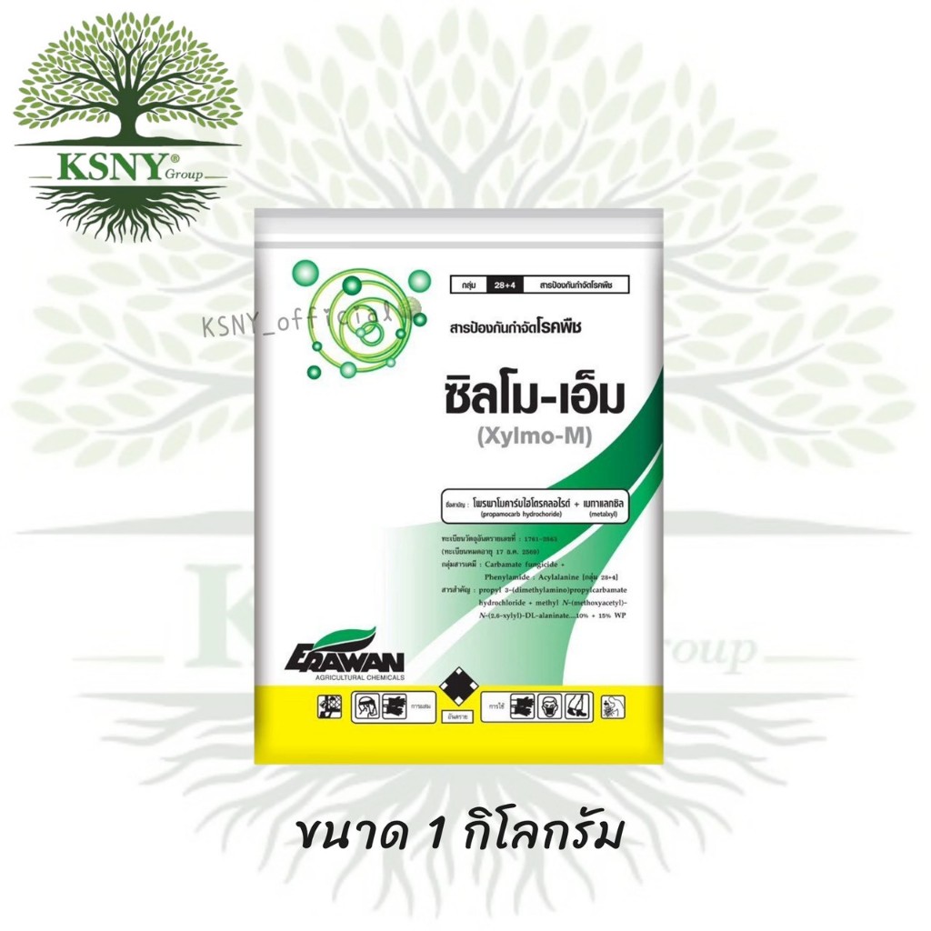 โพรพาโมคาร์บ+เมทาแลกซิล (ซิลโม-เอ็ม) โรครากเน่าโคนเน่า โรคยอดเน่า โรคผลเน่า โรคราน้ำค้าง โรคใบไหม้ โรคใบจุดตาเสือ