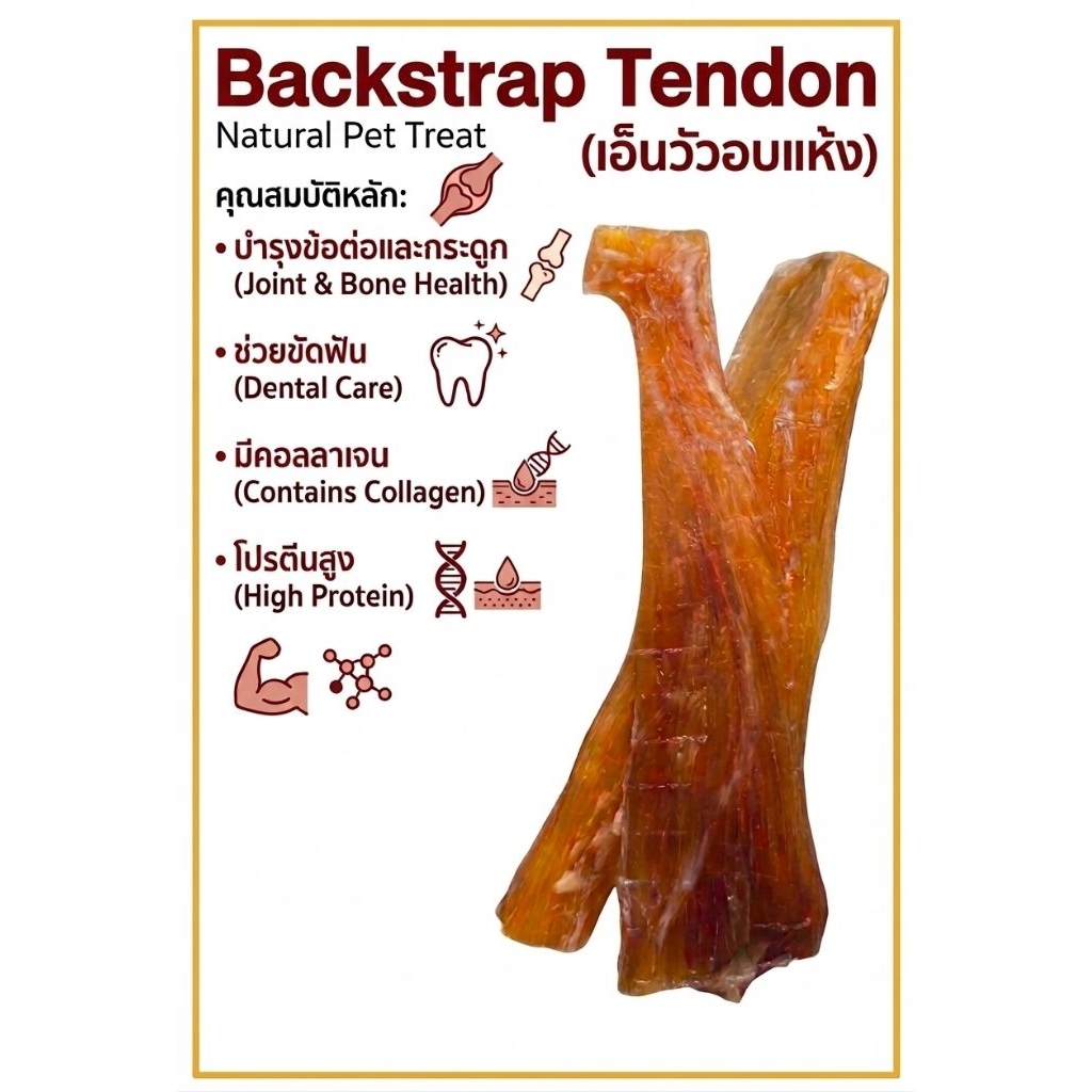 เอ็นวัวอบแห้ง (Backstrap Tendon) ขนมขัดฟันสุนัข [ธรรมชาติ 100%]