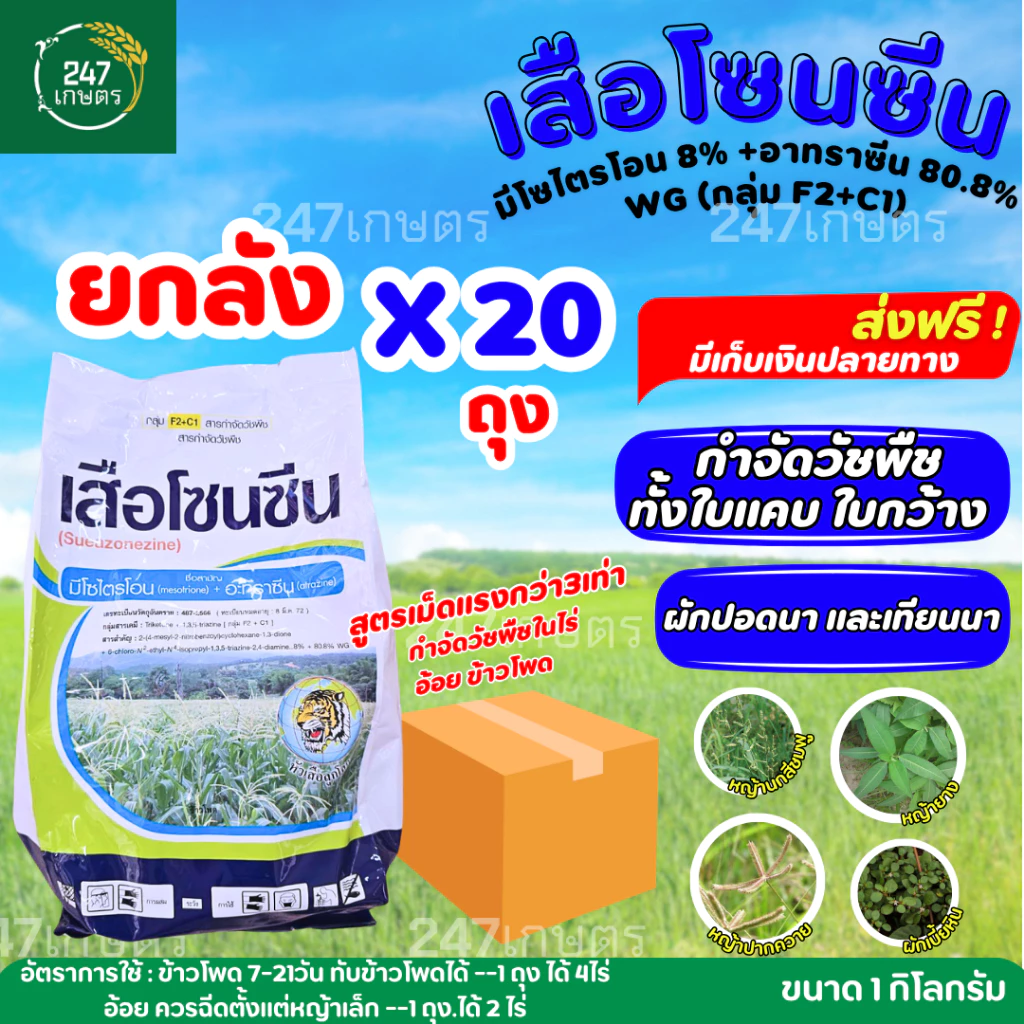 **ยกลัง20ถุง**เสือโซนซีน 1 กก.มีโซไตรโอน 8%+อะทราซีน 80.8% สูตรเม็ดแรงกว่า3เท่า กำจัดวัชพืชในไร่อ้อย ข้าวโพด