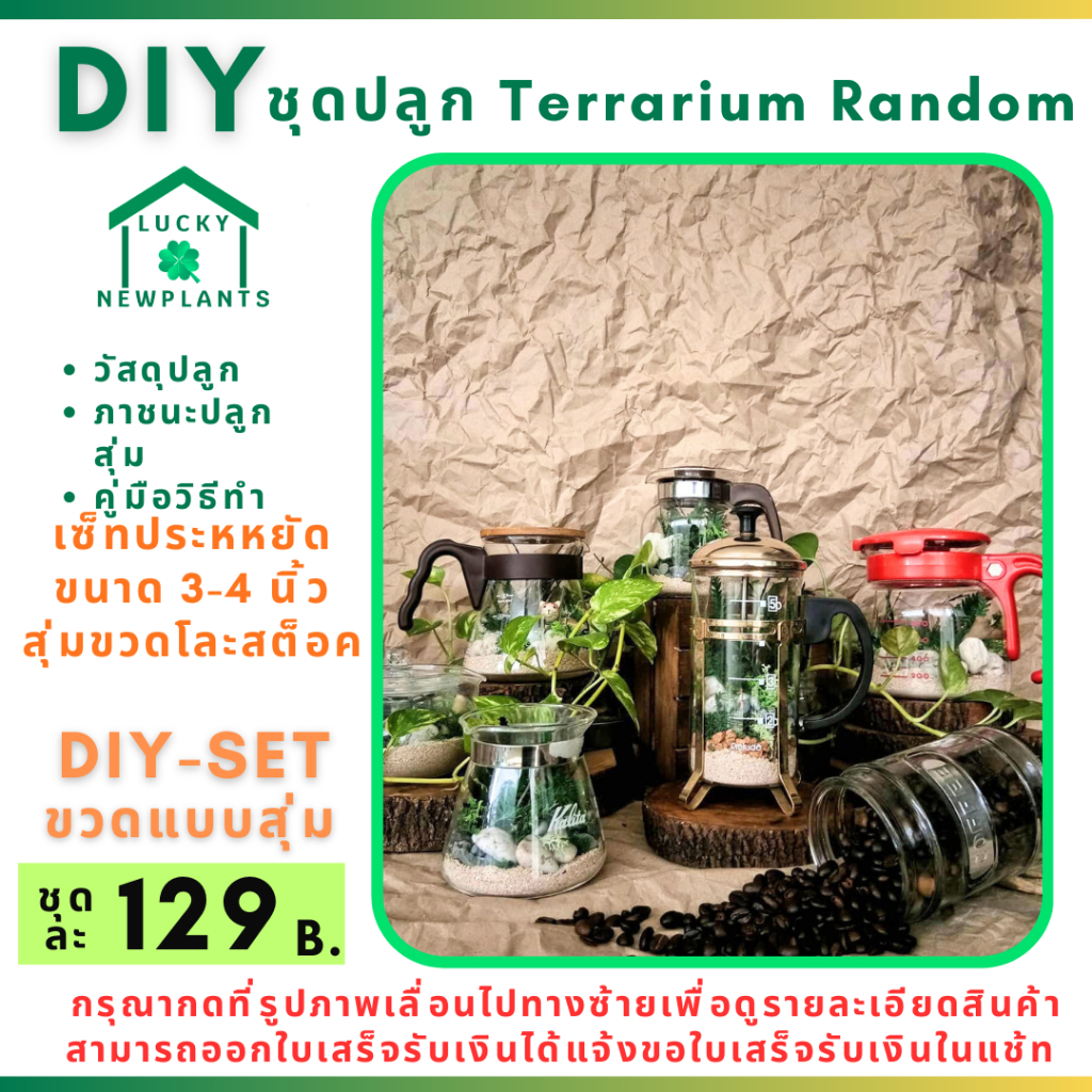 ชุดปลูก Terrarium Random พร้อมขวดแก้ว 129 บาท ซื้อ 2 แถมฟรี 1