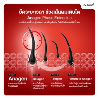 [ช้อปครบ รับฟรี] [ขายดี!] Dr.Pong ANA-X 30 อาหารเสริมยืดวงจรเส้นผม ลดผมร่วง ผมบาง เพิ่มจำนวน เพิ่มน้ำหนักเส้นผม