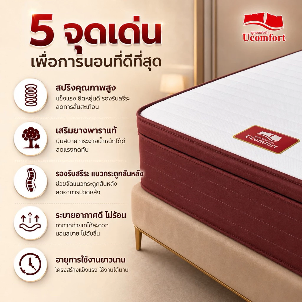 UCOMFORT ที่นอนรุ่น Spring Pillow on Top Latex thumbnail 4