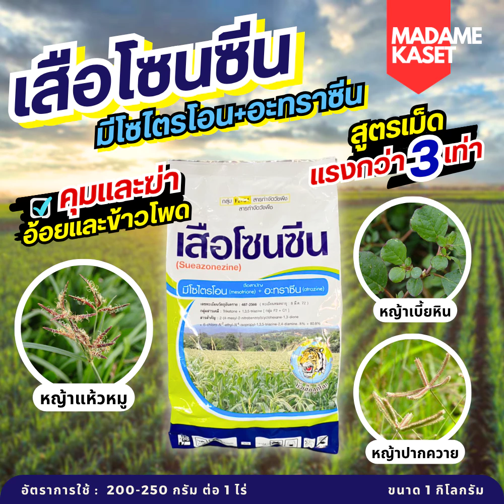 ยกลัง x20 kg.| เสือโซนซีน(มีโซไตรโอน 8% + อะทราซีน 80.8%) สูตรเม็ดแรงกว่า3เท่า ออกฤทธิ์ทั้งคุม+ฆ่า 1 กิโลกรัม