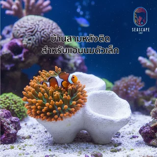 บ้านแอนเล็ก ปลาการ์ตูน ช่วยให้แอนนมไม่เดิน 1ช่องและ 3ช่อง