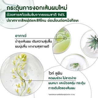 [สินค้าขายดี] [แพ็คคู่] อีฟโรเช Yves Rocher Anti-Hair Loss แชมพูและครีมนวดลดผมร่วง - ลดผมร่วง ผมบาง บำรุงเส้นผม