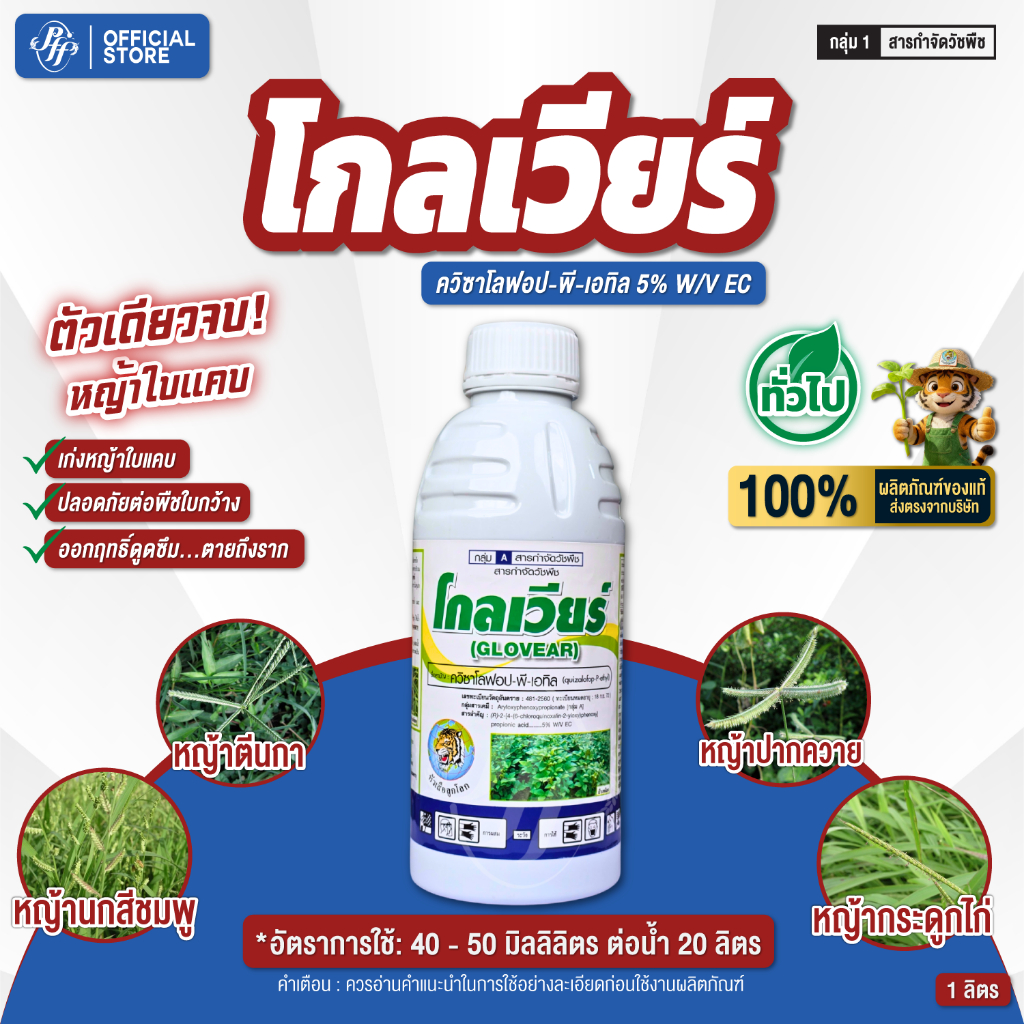 โกลเวียร์ 1 ลิตร ยาลุยไร่มัน กำจัดวัชพืชใบแคบ ปลอดภัยต่อพืชใบกว้าง มันสำปะหลัง พริก มะเขือ ถั่ว