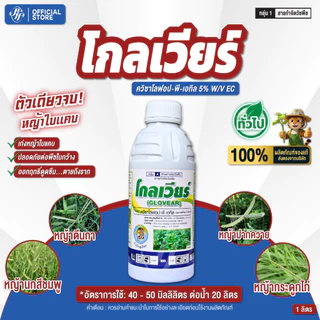 โกลเวียร์ [ยกลัง 6/12 X 1 ลิตร] ควิซาโลฟอป-พี-เอทิล ยาลุยไร่มัน เก่งหญ้าใบแคบ
