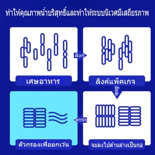 จุลินทรีย์ปรับสภาพน้ำใส ละลายอุจจาระ ดับกลิ่นเหม็น น้ำยาปรับสภาพน้ำบ่อปลา ปรับปรุงคุณภาพน้ำ ปลอดภัย