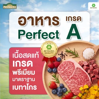 Perfecta อาหารสุนัข เกรดพรีเมี่ยม สุนัขโต พันธุ์เล็ก 1 ปี ขึ้นไป สูตรเนื้อ เนื้อสดแท้ Human grade ขนาด 7.5 กก.