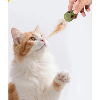 catnipหนูสีเขียว catnipปูสีเขียว catnipกบสีเขียว ของเล่นแมวแคทนิป รูปหนู กบ ปู ของเล่นแมวผสมกัญชาแมว ลูกบอลแคทนิป ของเล่