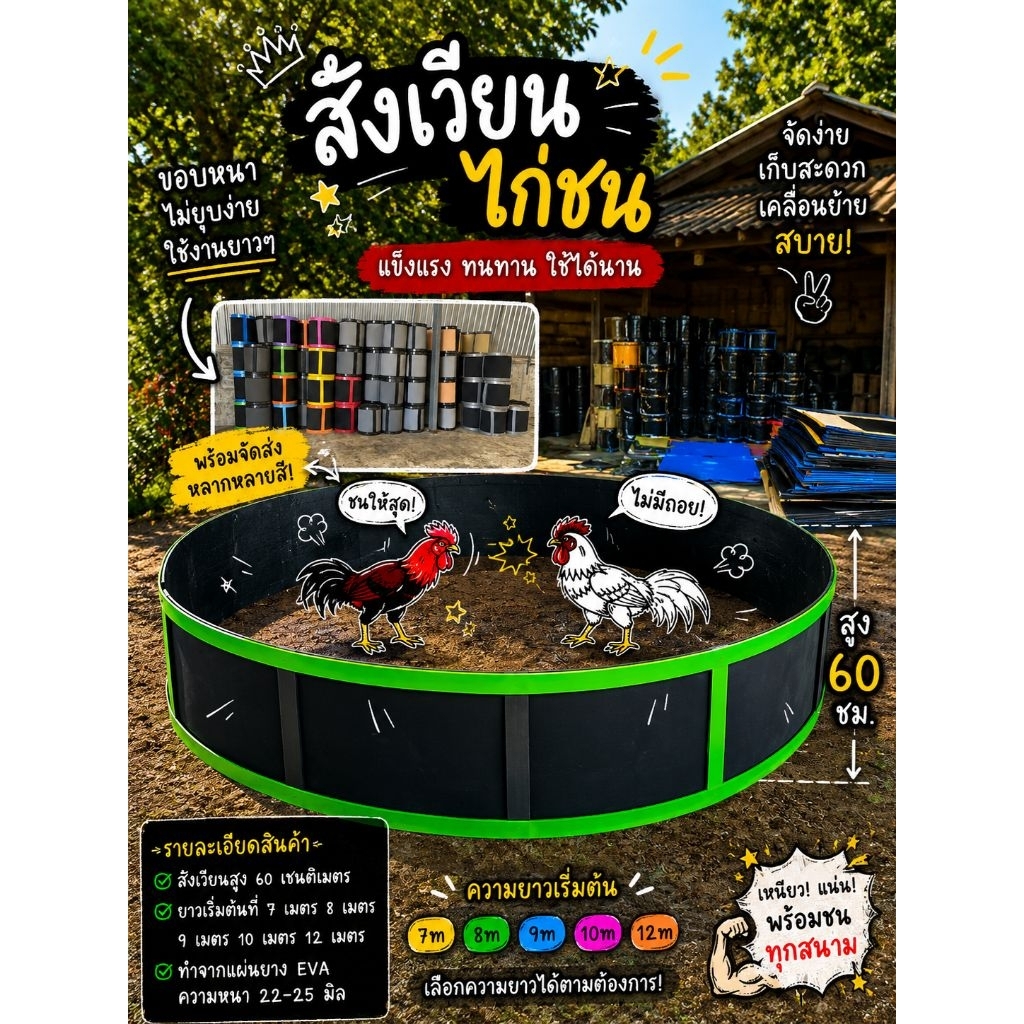 สังเวียนไก่ชนสูง 60 เซนติเมตร ยาว 7-12 เมตร