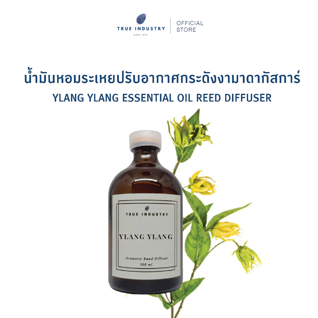 ก้านไม้หอมปรับอากาศกระดังงา มาดากัสการ์ 100 ml. (Ylang Ylang Essential Oil Reed Diffuser) แถมฟรี ไม้หวาย 8 ก้าน