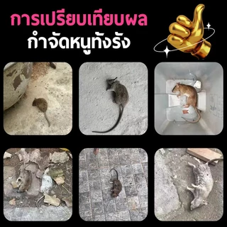 นำเข้าจากอเมริกา ยากำจัดหนู 3ซอง กำจัดหนูในบ้าน ร้านค้า โกดัง ใช้งานง่าย ออกฤทธิ์เร็ว เหมาะสำหรับกำจัดหนูโดยเฉพาะ