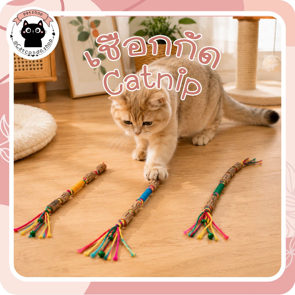 เชือก+catnipไม้ ยาว55cm ไม้แคทนิปแมว ของเล่นแมวเชือกกัดเล่น ไม้มาทาทาบิแมว ของเล่นขัดฟันแมว ของเล่นแมวมีเสียงกระดิ่ง
