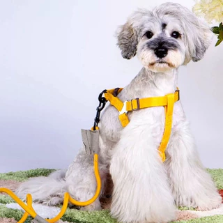 (เติมสต็อกแล้ว) Touchdog ชุดสายจูงสัตว์เลี้ยง พร้อมสายรัดอก มี8สีให้เลือก สายจูงสุนัข