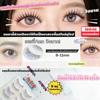 Dreehalo ขนตาปลอมแกนดำ ลุคเกาหลี ธรรมชาติ ตาคมมีมิติ เบาสบาย ขึ้นกล้องสวย F311