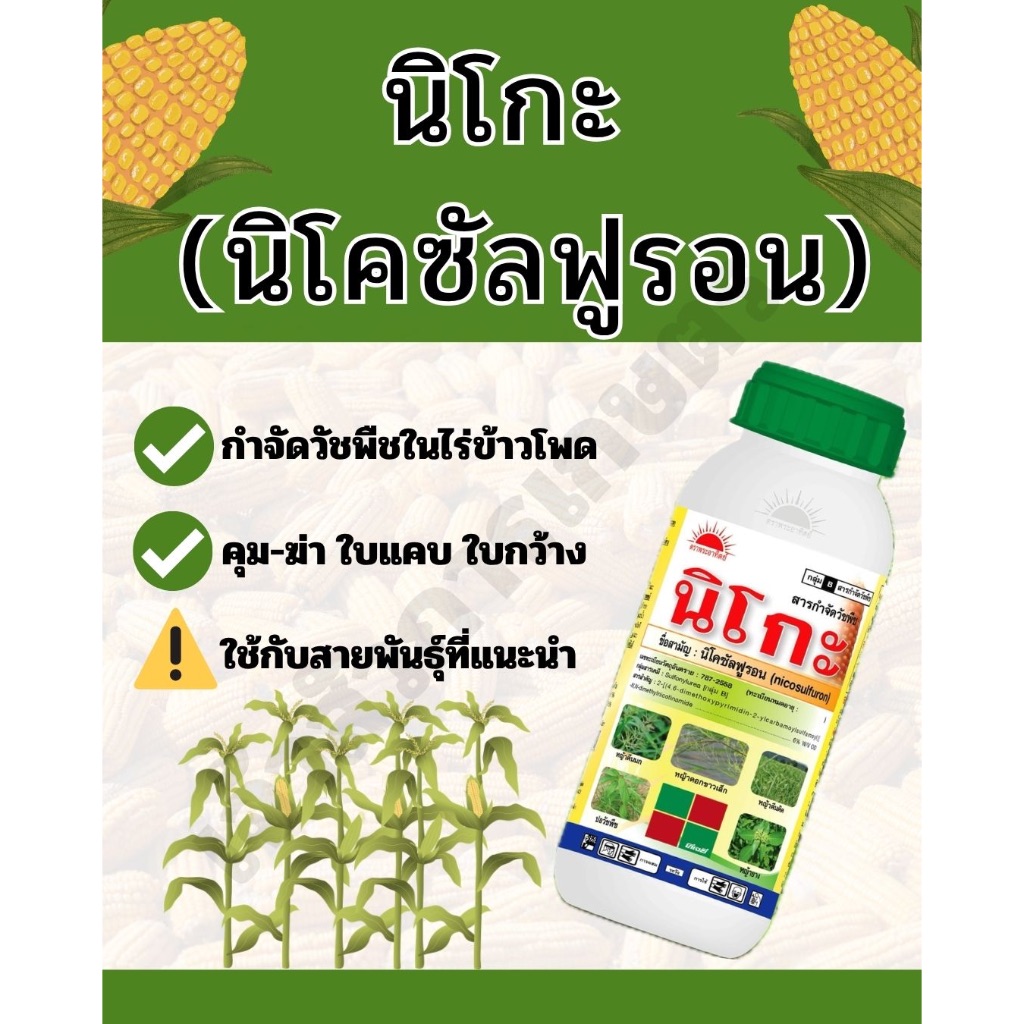 นิโกะ #คุม-ฆ่าวัชพืช ในไร่ข้าวโพด