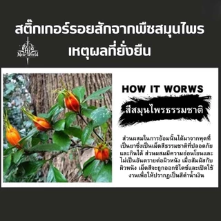 【New world Magic tattoo】 ติดทนนาน15วัน สติ๊กเกอร์รอยสัก กันน้ํา แทททูสมุนไพร รอยสักชั่วคราว รอยสักกึ่งถาวร