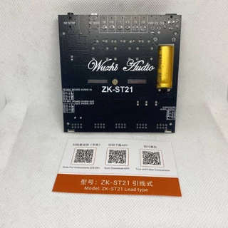 ZK-ST21 แท้ TPA3221 100W*2+200W DC 12-30v รองรับ ปรีไมค์ zk amp แอมป์จิ๋วขับซับ zk3002 zk1602