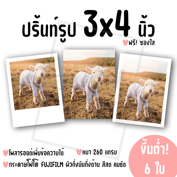 ปริ้นท์รูป ขนาด 3x4 นิ้ว ฟรีซองใส! ขั้นต่ำ 6 ใบ คละรูปได้ (กระดาษ FUJIFILM ผิวกึ่งมันกึ่งด้าน)