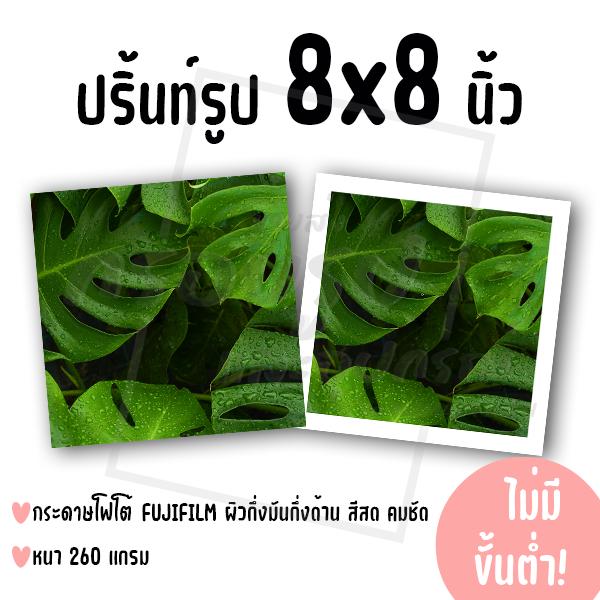 ปริ้นท์รูป ขนาด 8x10 นิ้ว ไม่มีขั้นต่ำ! (กระดาษ FUJIFILM ผิวมัน/กึ่งมันกึ่งด้าน)
