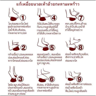 กะลานวดเท้า1 ชิ้น (ใหญ่) สำหรับผ่อนคลายความเมื่อยตึงของกล้ามเนื้อคอ บ่า หลัง และเท้า