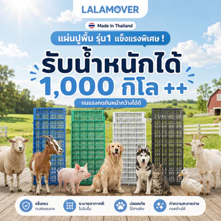 LALAMOVER แผ่นรองกรงสัตว์เลี้ยง รุ่นแข็งแรงพิเศษ 10 แผ่น ขนาด 30x100x3.4 ซม. | สแลทปูพื้นกรง แผ่นปูพื้นฟาร์ม แผ่นรองพื้น