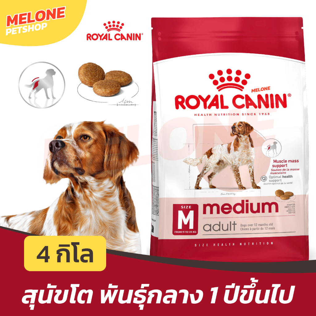 [ถุงซิป 4 กิโล] Royal Canin Medium Adult โรยัล คานิน อาหารสุนัข สุนัขโต หมา พันธุ์ กลาง บำรุงขน เสริมภูมิ ขับถ่ายดี