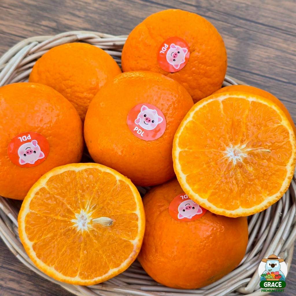 🍊 ส้มแมนดารินไต้หวัน 🍊 หวานฉ่ำน้ำเยอะ รสส้มเข้ม อร่อยสดชื่น